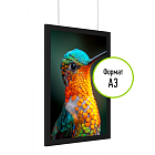 Подвесная тонкая световая панель с магнетик-рамкой А3 МАГНИЛАЙТ-01.А3.Bk -фото